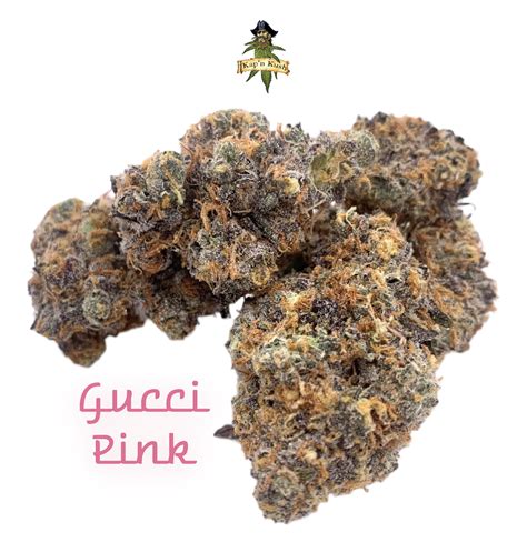 gucci pink strains.